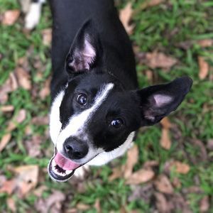 Meet your Posher, Jamie